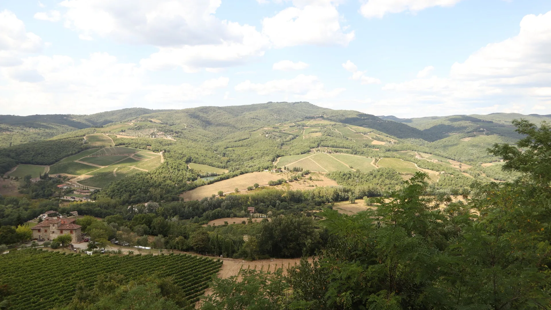 Rolling Chianti vineyards and cypress trees under the Tuscan sun