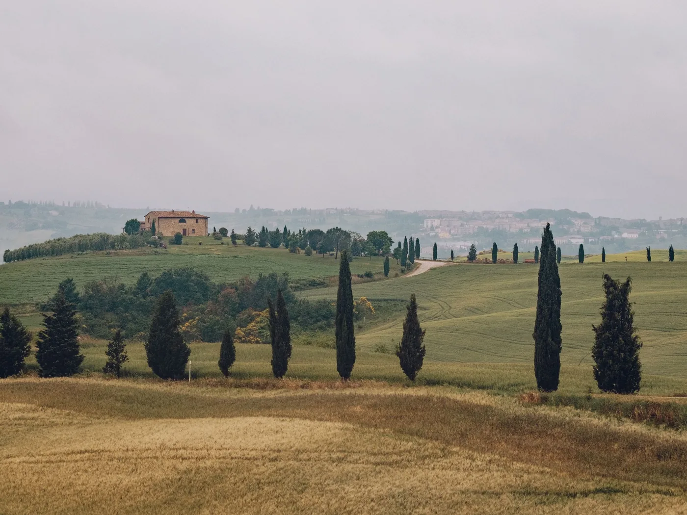 The Via Chiantigiana winding through Tuscan vineyard hills
